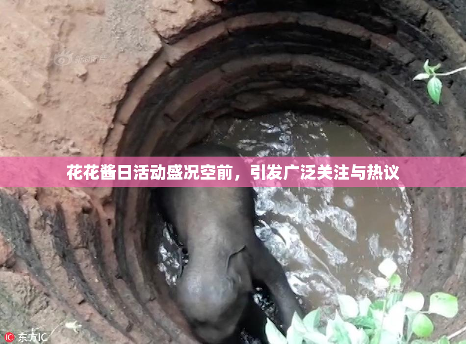 花花酱日活动盛况空前，引发广泛关注与热议