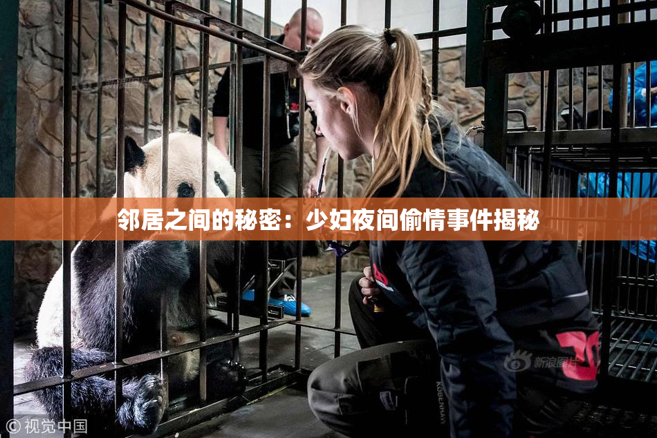 邻居之间的秘密：少妇夜间偷情事件揭秘