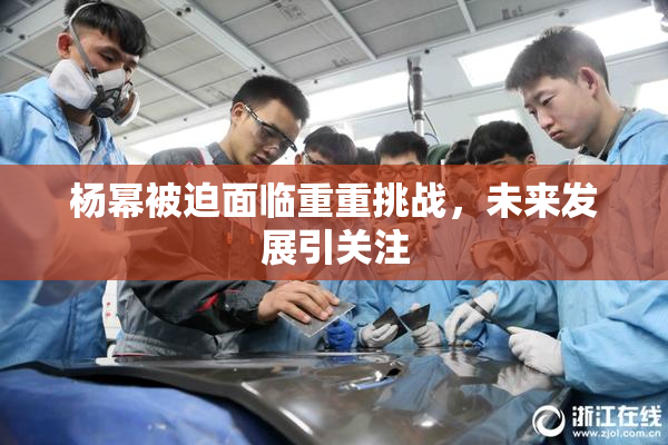 杨幂被迫面临重重挑战，未来发展引关注