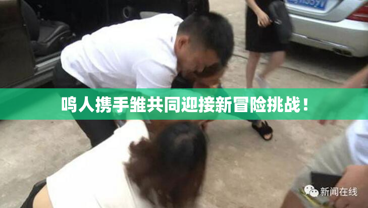 鸣人携手雏共同迎接新冒险挑战！