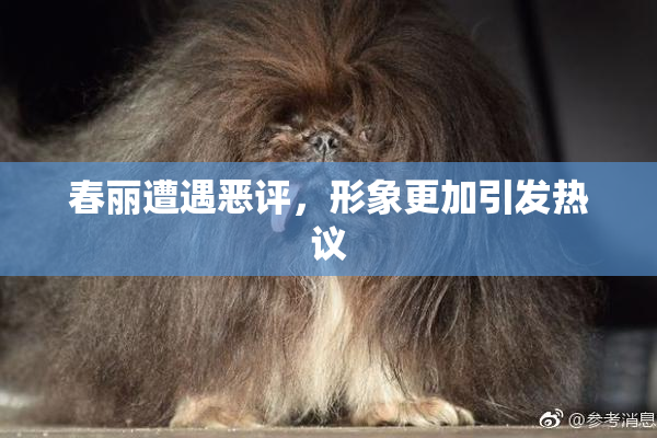 春丽遭遇恶评，形象更加引发热议