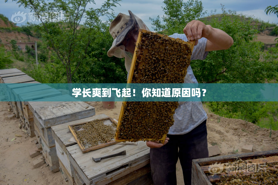 学长爽到飞起！你知道原因吗？