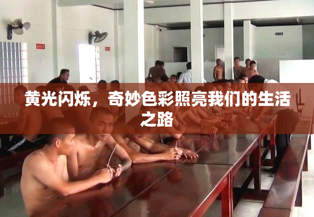黄光闪烁，奇妙色彩照亮我们的生活之路