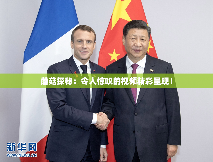 蘑菇探秘：令人惊叹的视频精彩呈现！