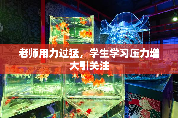 老师用力过猛，学生学习压力增大引关注