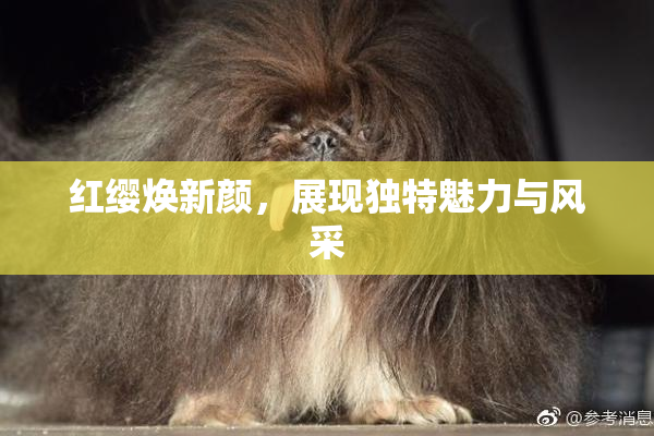 红缨焕新颜，展现独特魅力与风采