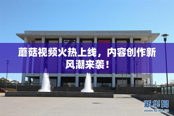 蘑菇视频火热上线，内容创作新风潮来袭！