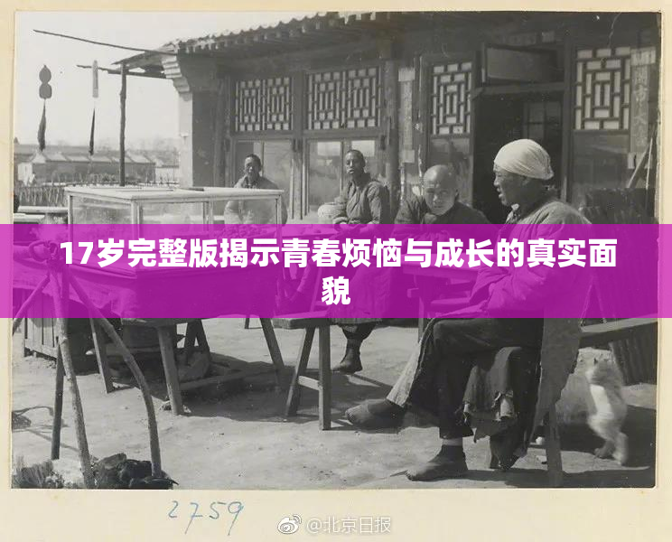 17岁完整版揭示青春烦恼与成长的真实面貌