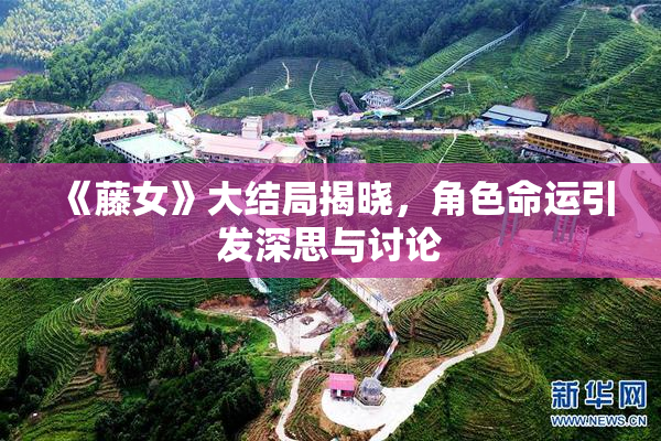 《藤女》大结局揭晓，角色命运引发深思与讨论