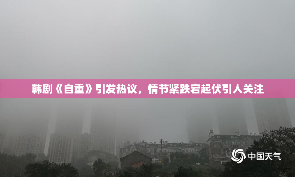 韩剧《自重》引发热议，情节紧跌宕起伏引人关注