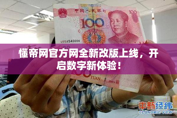 懂帝网官方网全新改版上线，开启数字新体验！