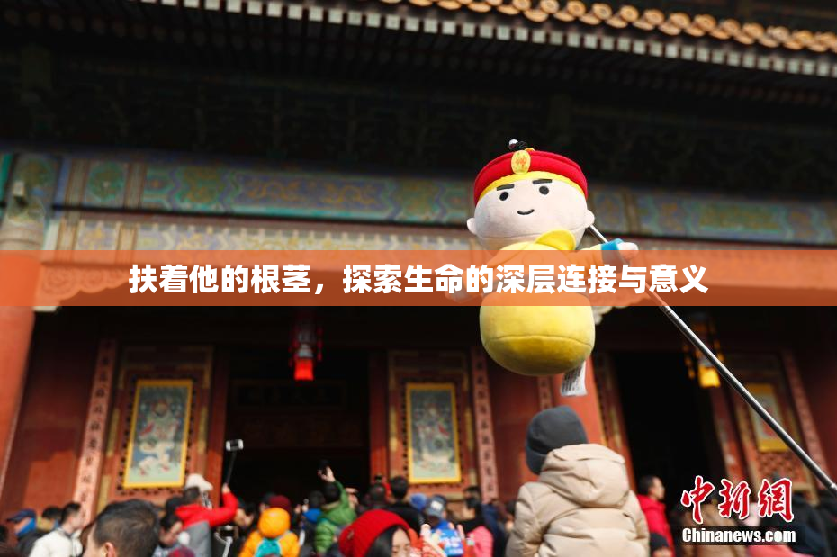 扶着他的根茎，探索生命的深层连接与意义