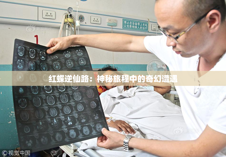 红蝶逆仙路：神秘旅程中的奇幻遭遇