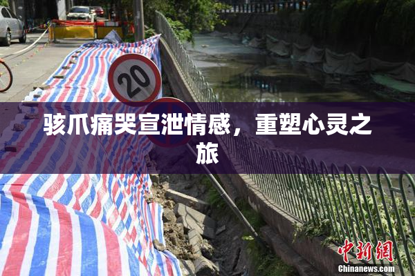 骇爪痛哭宣泄情感，重塑心灵之旅