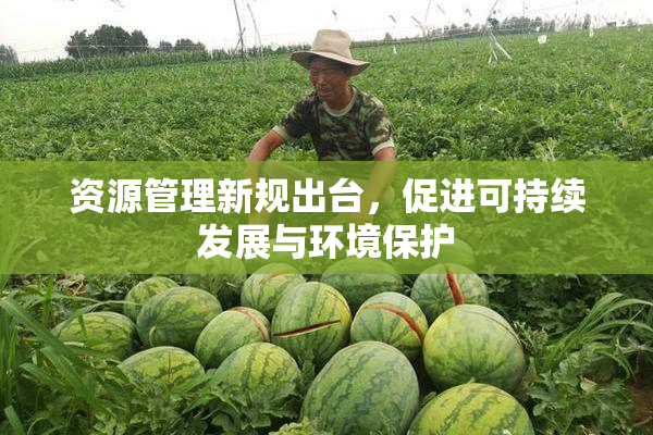 资源管理新规出台，促进可持续发展与环境保护