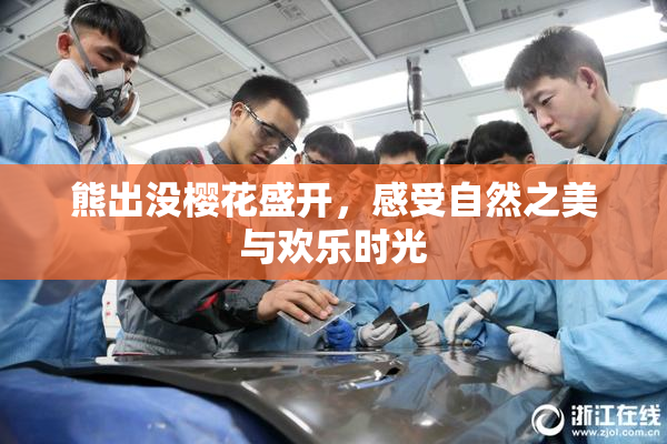 熊出没樱花盛开，感受自然之美与欢乐时光