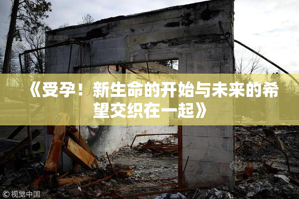 《受孕！新生命的开始与未来的希望交织在一起》