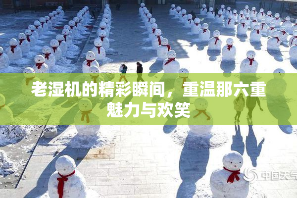 老湿机的精彩瞬间，重温那六重魅力与欢笑