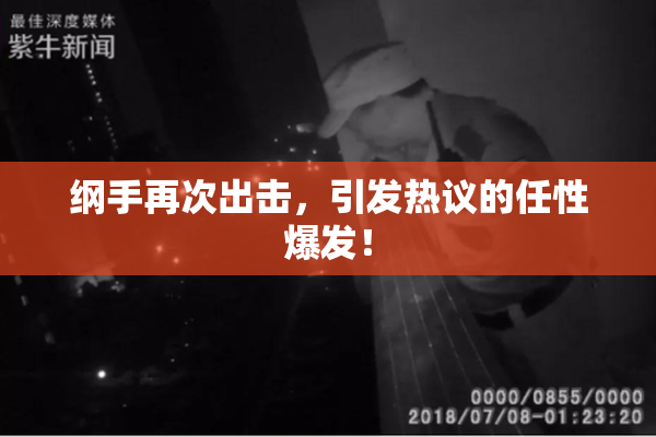 纲手再次出击，引发热议的任性爆发！