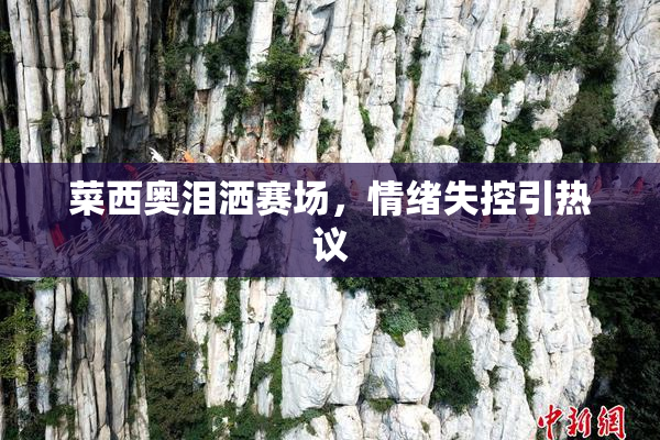 菜西奥泪洒赛场，情绪失控引热议