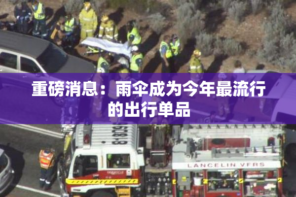 重磅消息：雨伞成为今年最流行的出行单品