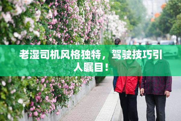 老湿司机风格独特，驾驶技巧引人瞩目！
