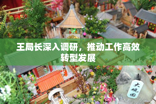 王局长深入调研，推动工作高效转型发展