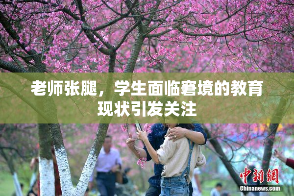 老师张腿，学生面临窘境的教育现状引发关注