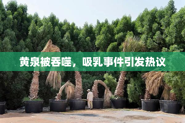 黄泉被吞噬，吸乳事件引发热议