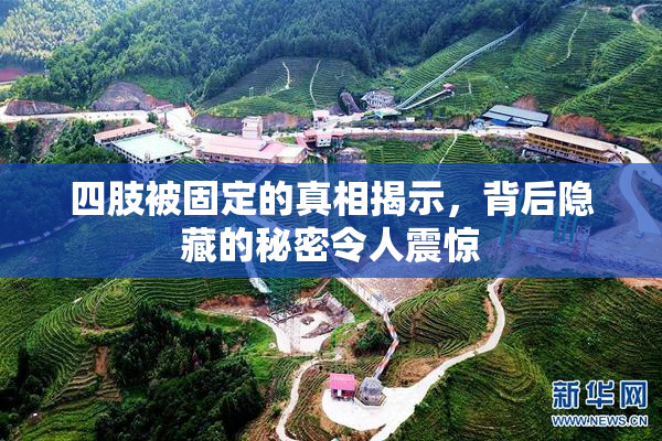 四肢被固定的真相揭示，背后隐藏的秘密令人震惊