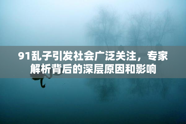 91乱子引发社会广泛关注，专家解析背后的深层原因和影响