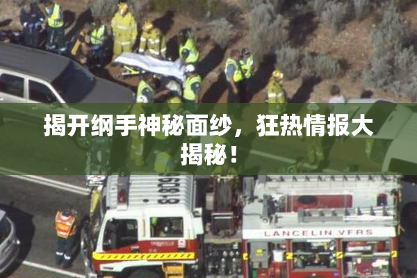 揭开纲手神秘面纱，狂热情报大揭秘！