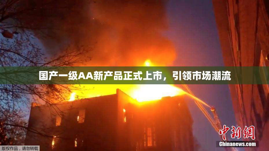 国产一级AA新产品正式上市，引领市场潮流