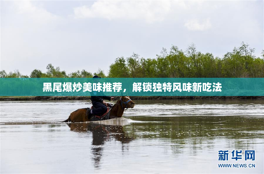 黑尾爆炒美味推荐，解锁独特风味新吃法