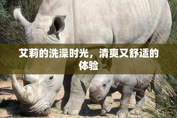 艾莉的洗澡时光，清爽又舒适的体验