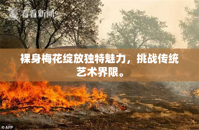 裸身梅花绽放独特魅力，挑战传统艺术界限。