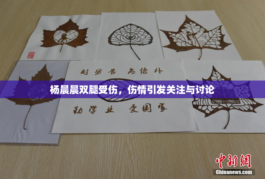 杨晨晨双腿受伤，伤情引发关注与讨论