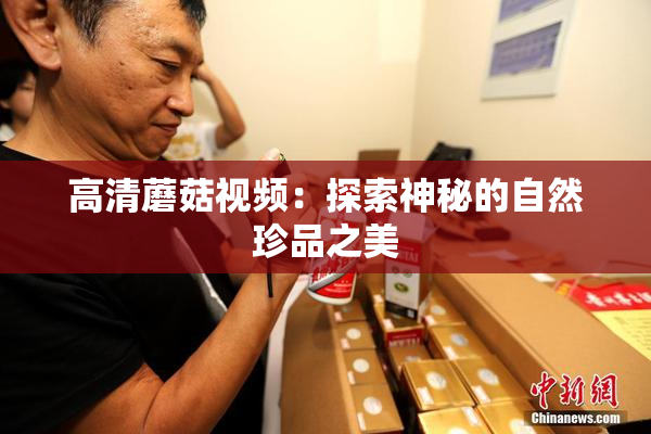 高清蘑菇视频：探索神秘的自然珍品之美