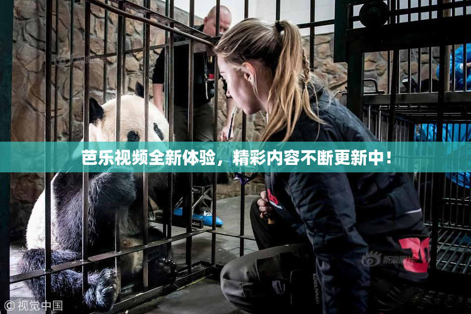 芭乐视频全新体验，精彩内容不断更新中！