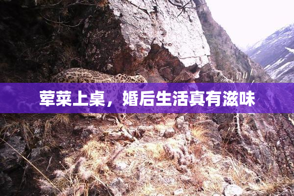 荤菜上桌，婚后生活真有滋味