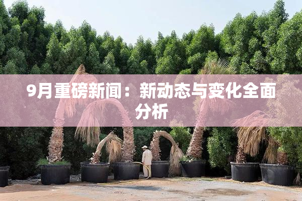 9月重磅新闻：新动态与变化全面分析