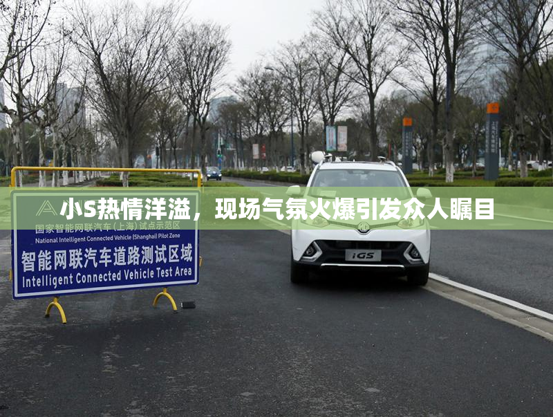 小S热情洋溢，现场气氛火爆引发众人瞩目