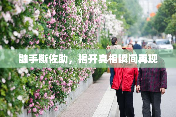 鼬手撕佐助，揭开真相瞬间再现