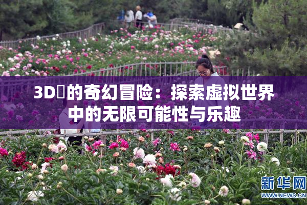 3D姉的奇幻冒险：探索虚拟世界中的无限可能性与乐趣