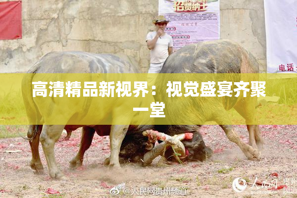 高清精品新视界：视觉盛宴齐聚一堂