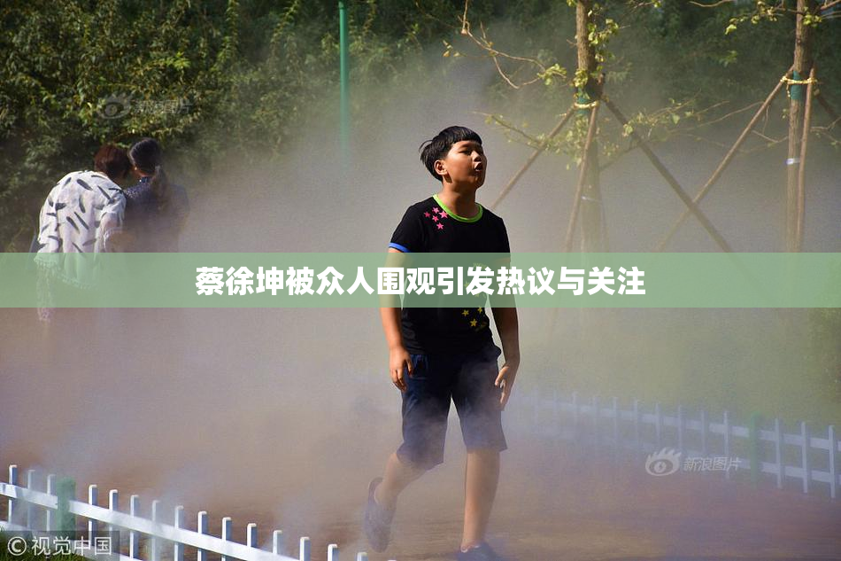 蔡徐坤被众人围观引发热议与关注