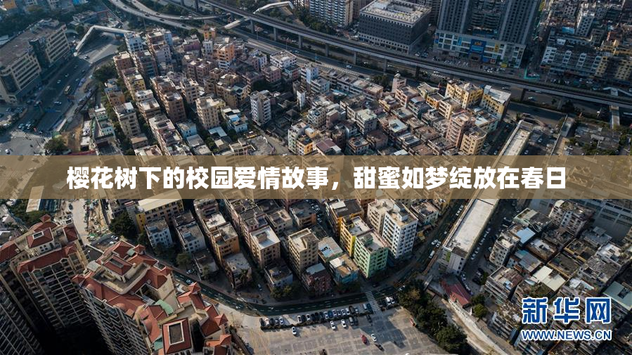 樱花树下的校园爱情故事，甜蜜如梦绽放在春日
