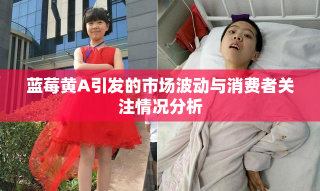 蓝莓黄A引发的市场波动与消费者关注情况分析