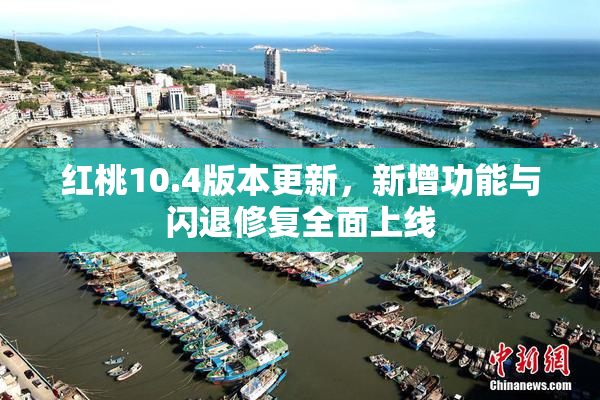 红桃10.4版本更新，新增功能与闪退修复全面上线