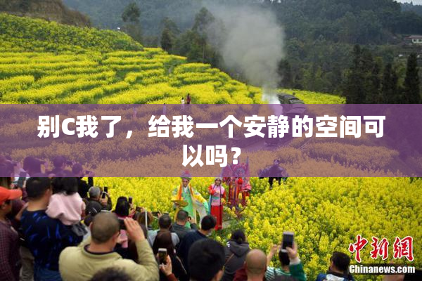 别C我了，给我一个安静的空间可以吗？